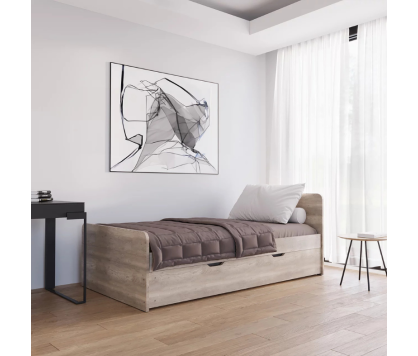 Single Murphy Bed