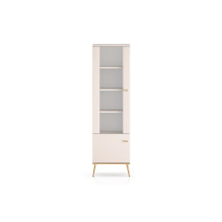 Selgin Tall Glass Display...