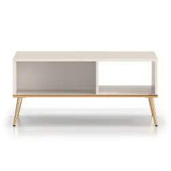 Selgin Modern Coffee Table...