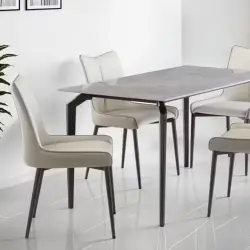 Dining Chair Grey and Beige