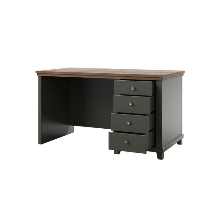EVA 4-Drawer Computer Desk – Green & Oak Office Desk