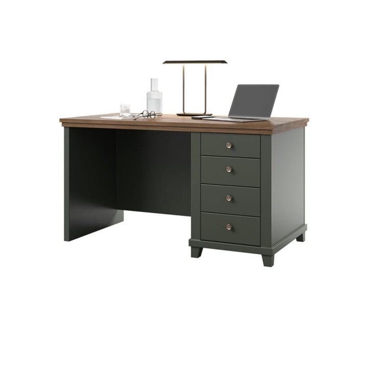 EVA 4-Drawer Computer Desk – Green & Oak Office Desk