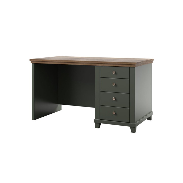 EVA 4-Drawer Computer Desk – Green & Oak Office Desk