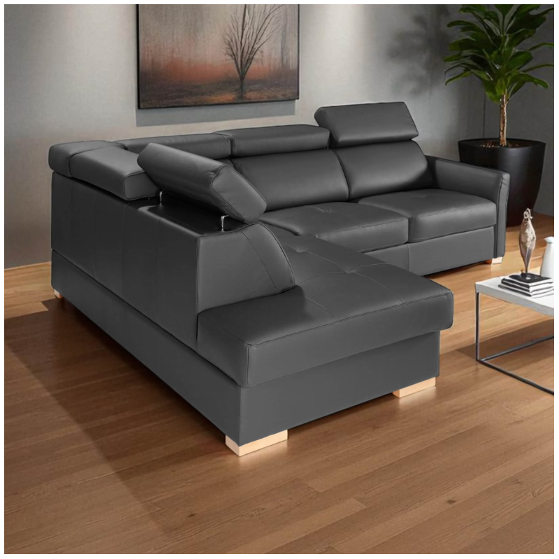 Corner Sofa Bed and Storage