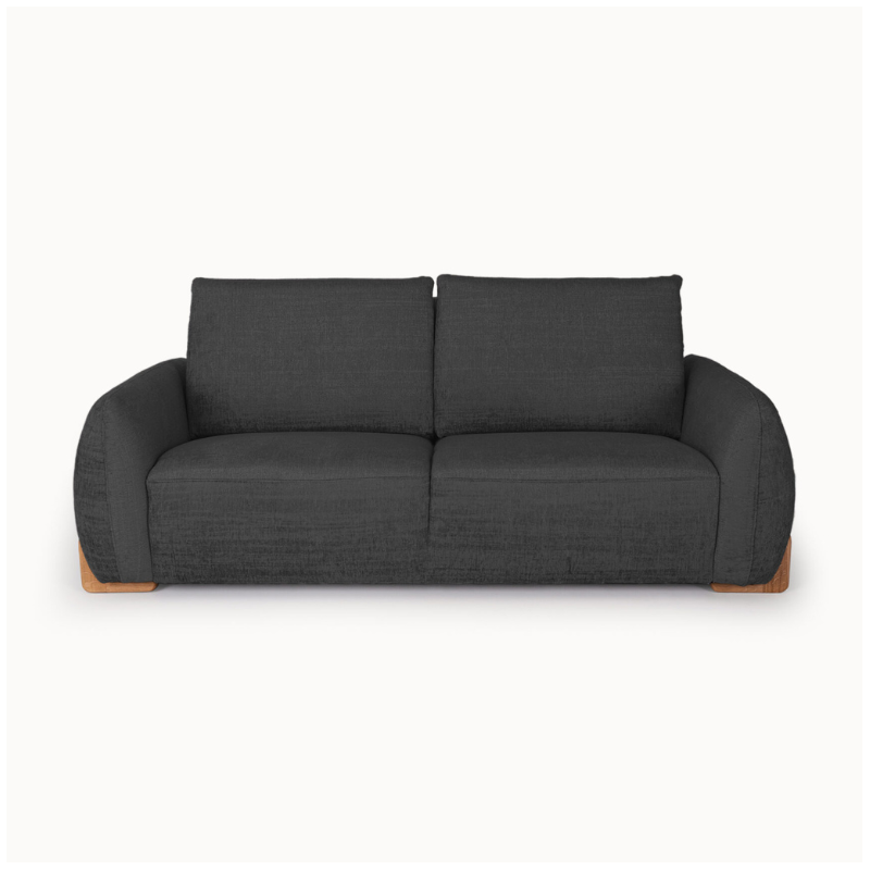 2-Seater Sofa in Elegant Black Upholstery