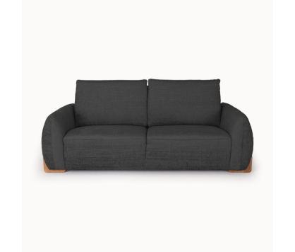 2-Seater Sofa in Elegant Black Upholstery