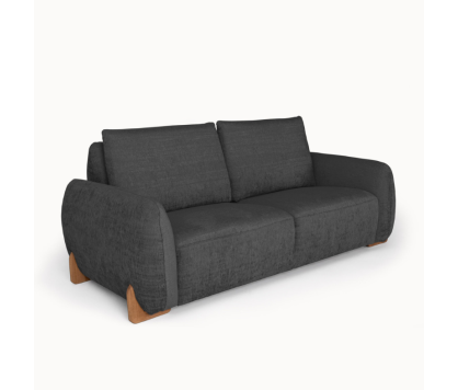 2-Seater Sofa in Elegant Black Upholstery