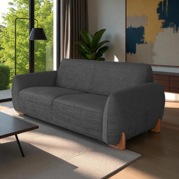 2-Seater Sofa in Elegant Black Upholstery