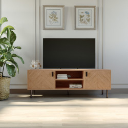 Leon 2 Door TV Unit Modern...