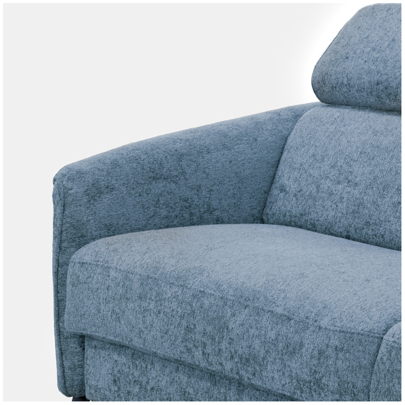 Custom 2.5-Seater Sofa Bed