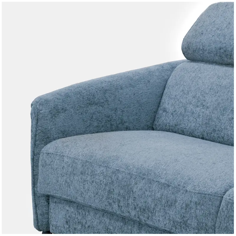 Custom 2.5-Seater Sofa Bed