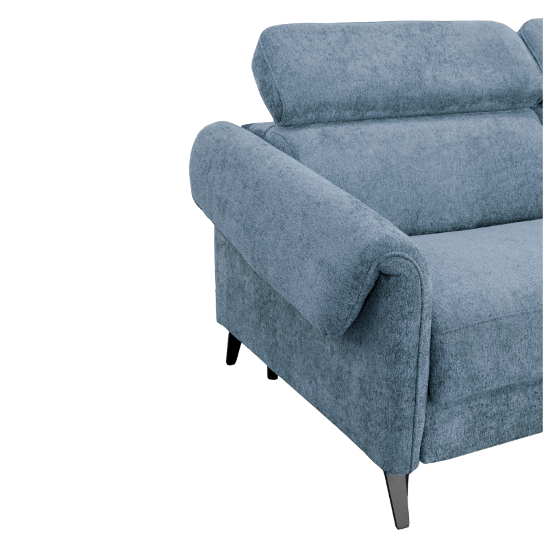 Custom 2.5-Seater Sofa Bed