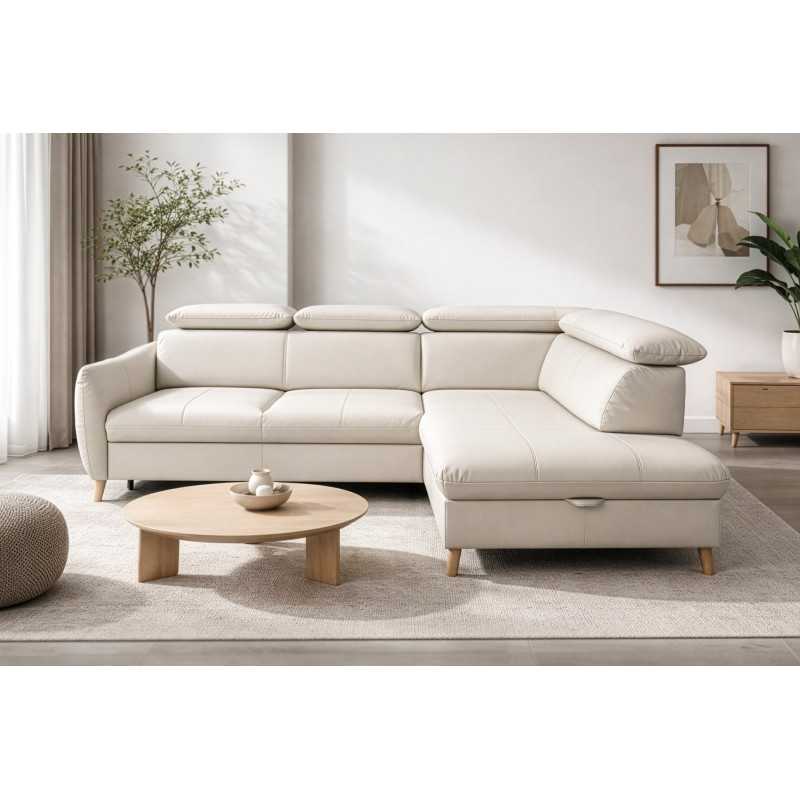 corner sofa bed and storage