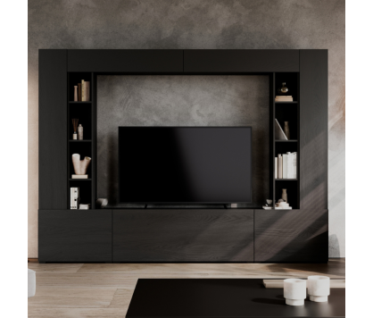 Modern Wall Unit